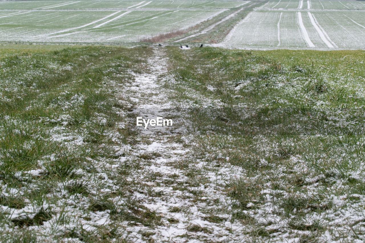 TIRE TRACKS ON SNOW FIELD