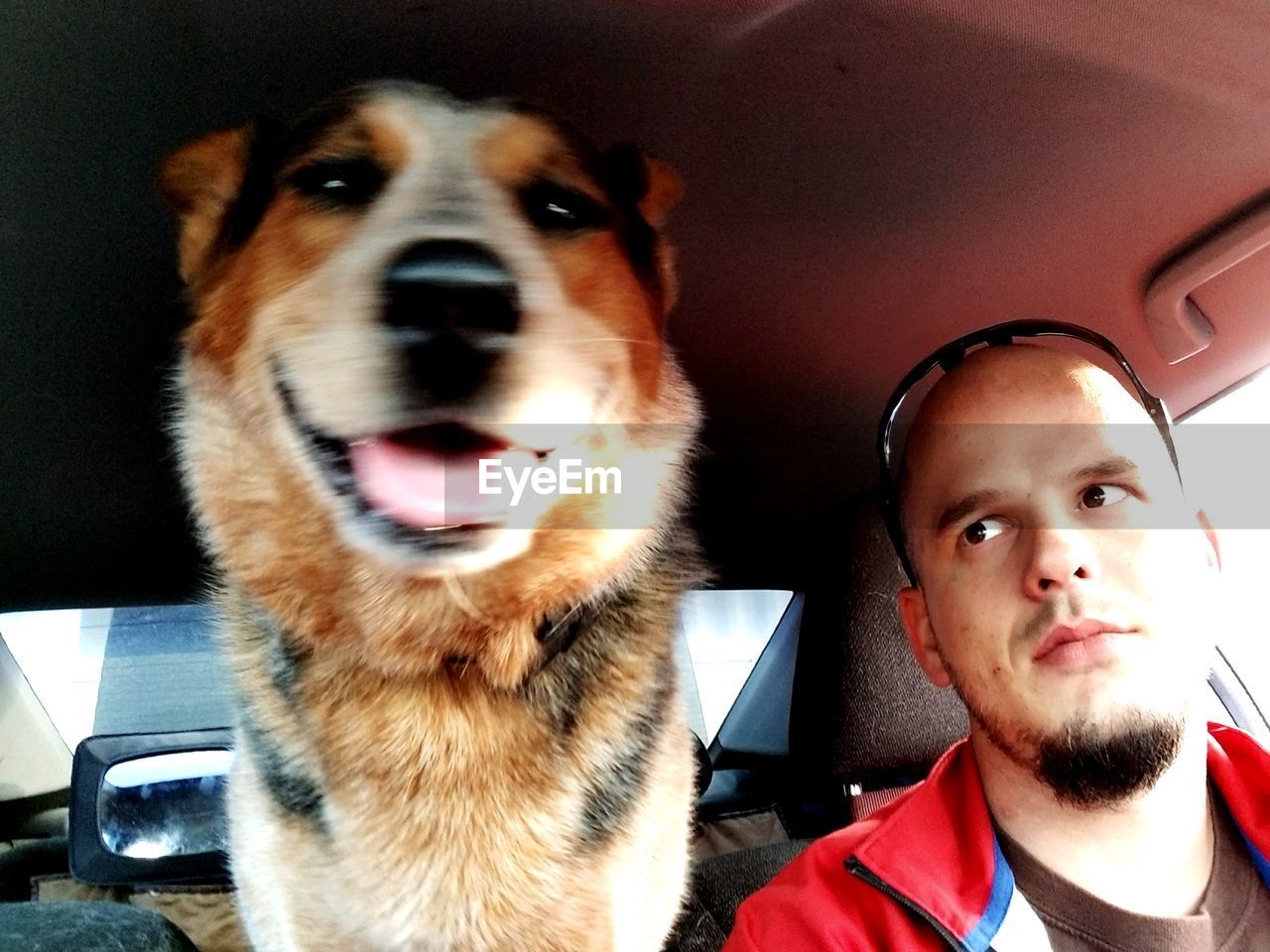 CLOSE-UP PORTRAIT OF MAN WITH DOG SITTING