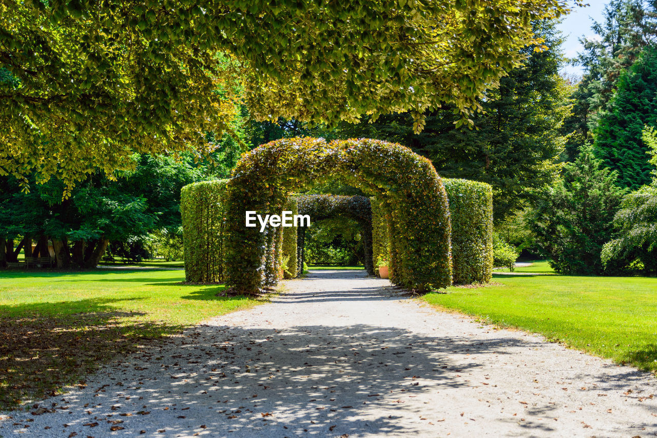 Footpath in garden, green, spring, sunny day.