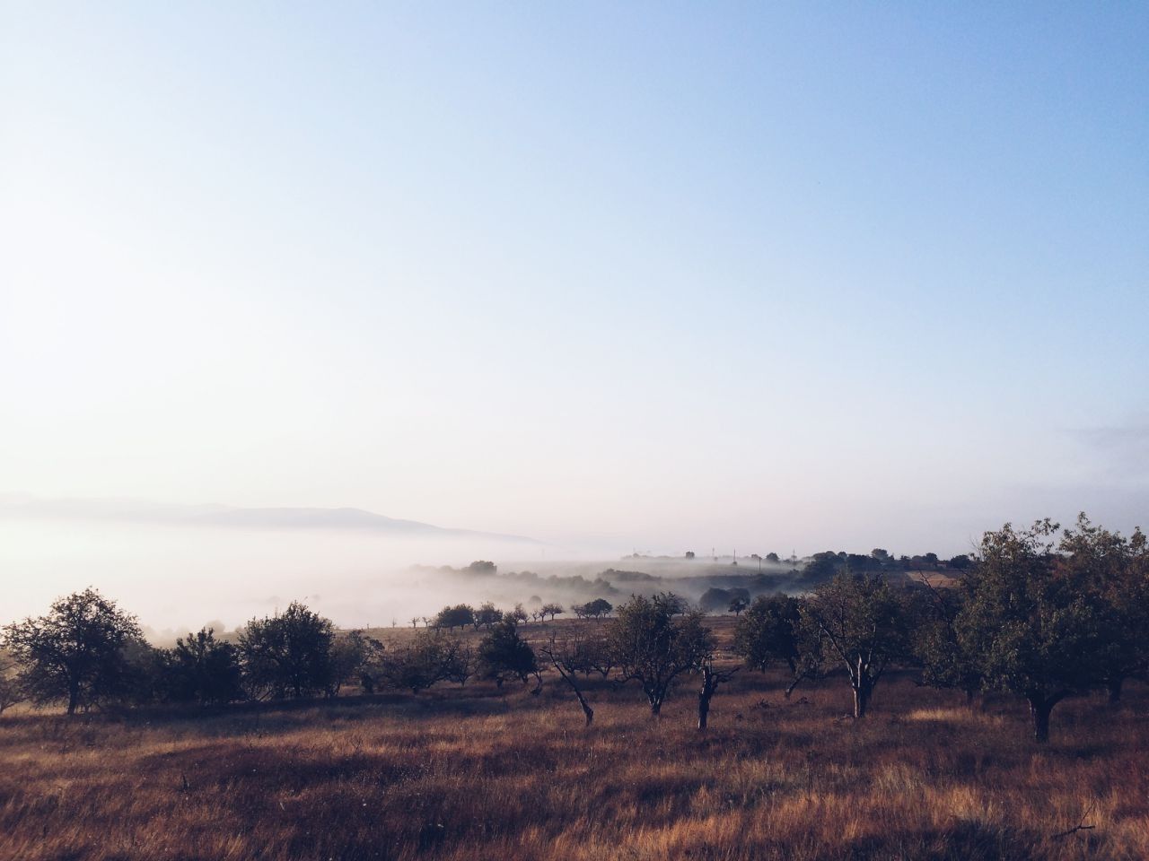 Scenic view of landscape against sky during sunset 