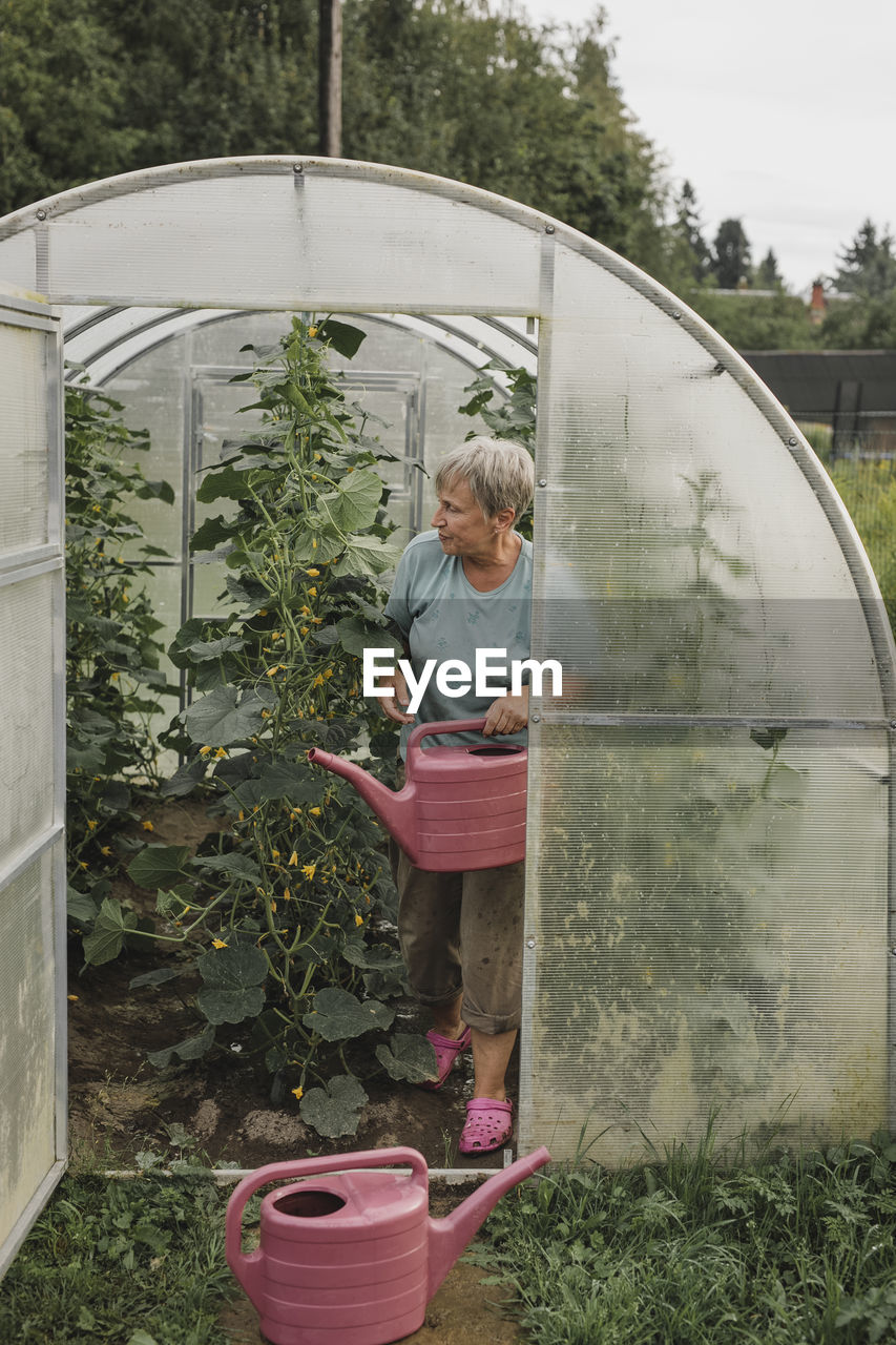 Senior woman with watering can in greenhouse