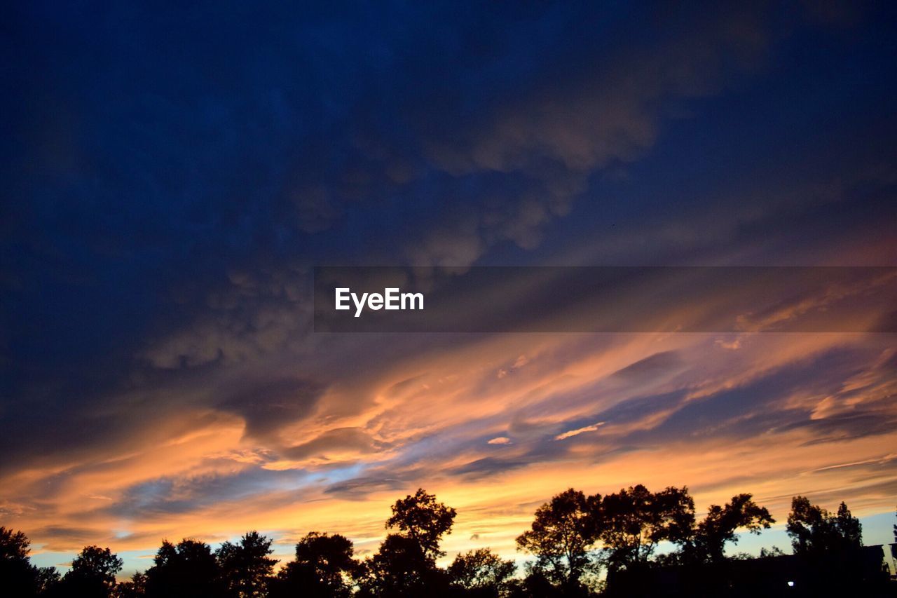 LOW ANGLE VIEW OF SILHOUETTE TREES AGAINST CLOUDY SKY