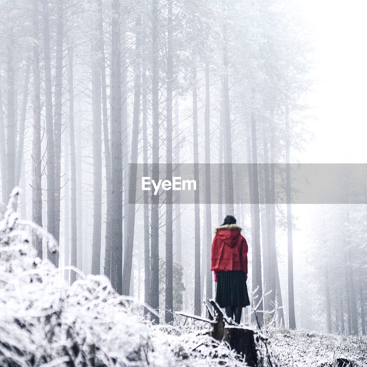 Rear view of woman standing in frozen forest