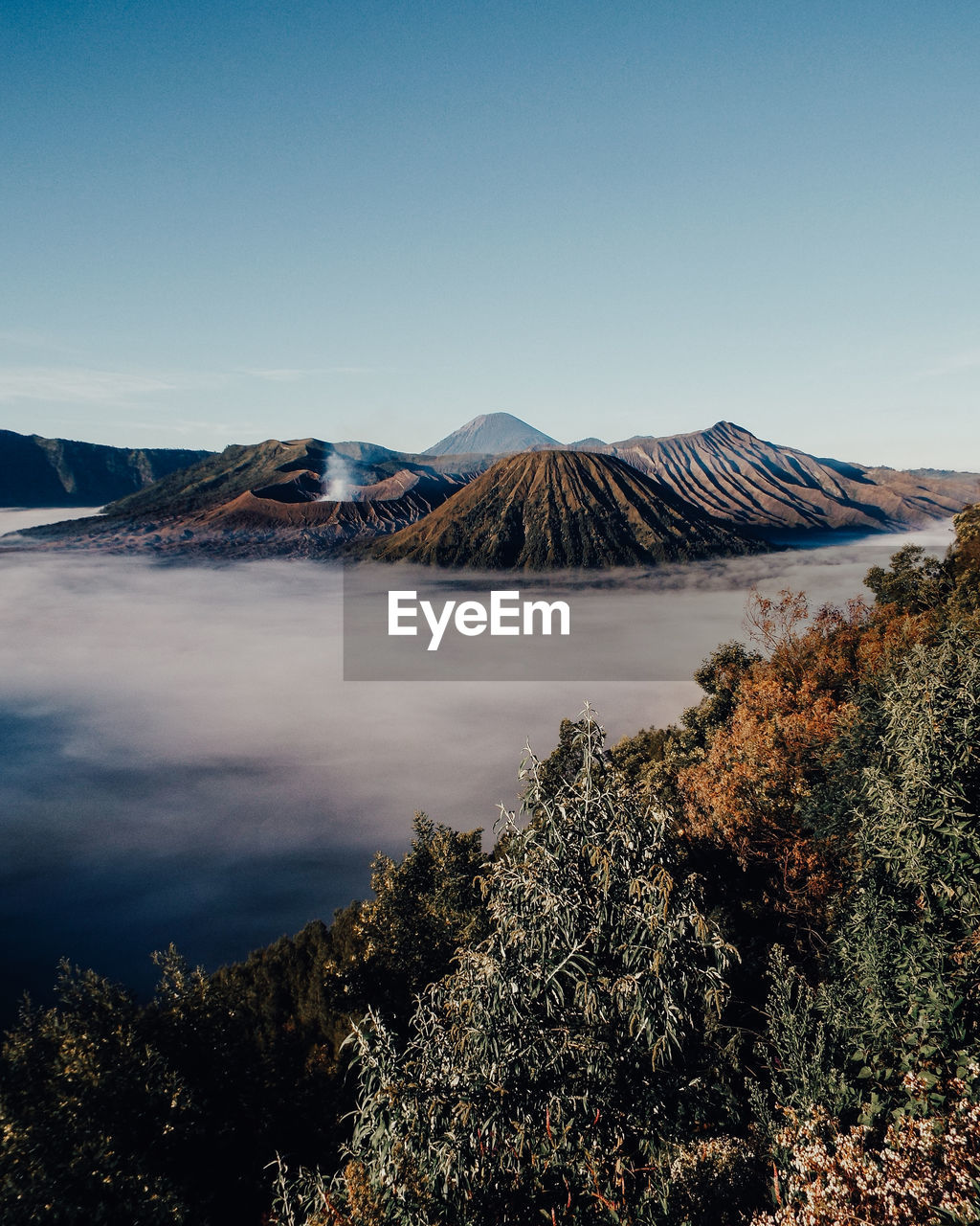 Wonderful bromo