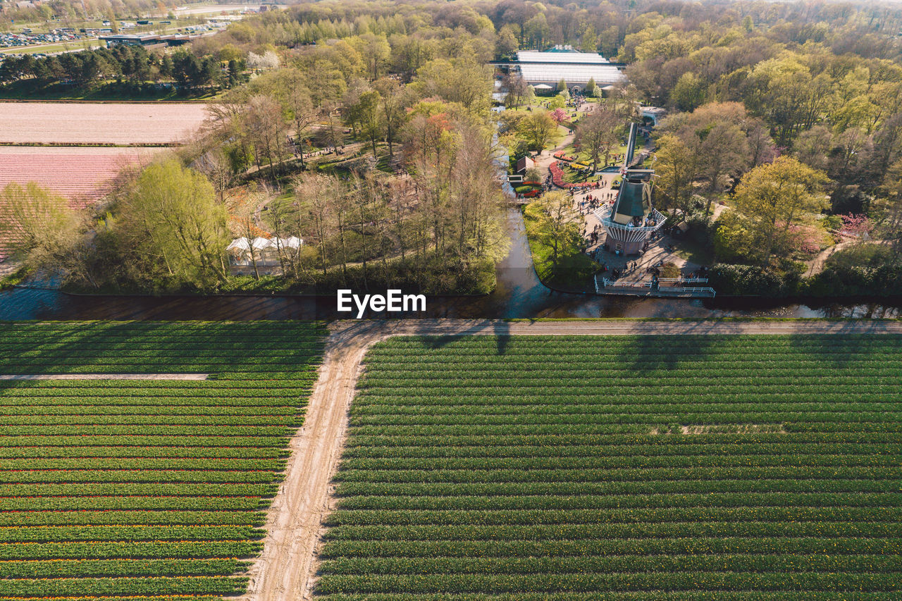 plant, tree, aerial photography, growth, nature, landscape, agriculture, green, high angle view, field, residential area, rural scene, land, rural area, environment, architecture, garden, estate, scenics - nature, lawn, day, no people, outdoors, crop, beauty in nature, farm, grass, suburb, built structure, tranquility, building exterior, aerial view, building, flower, hill, food and drink, house, tranquil scene
