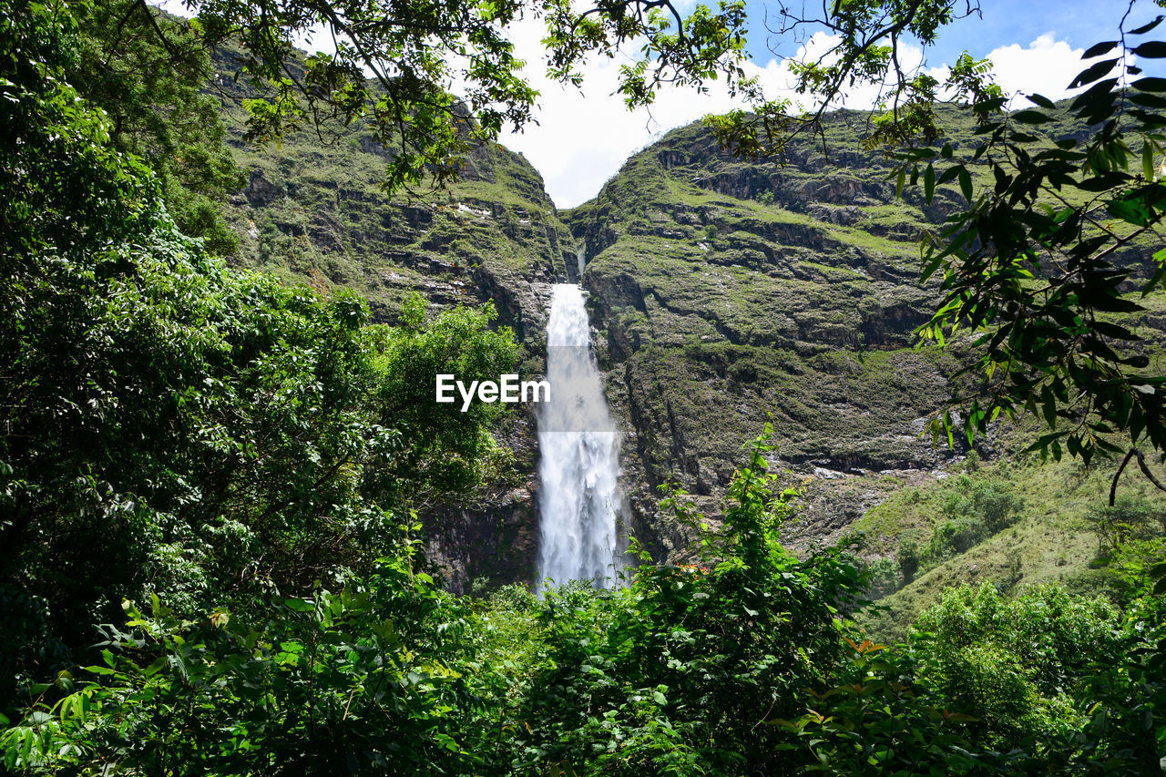 Scenic view of waterfall in forest