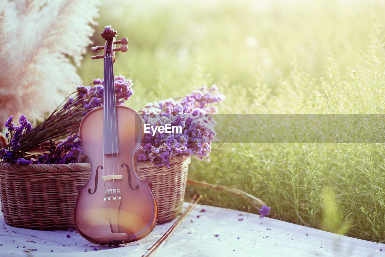 Classic violin in flower garden