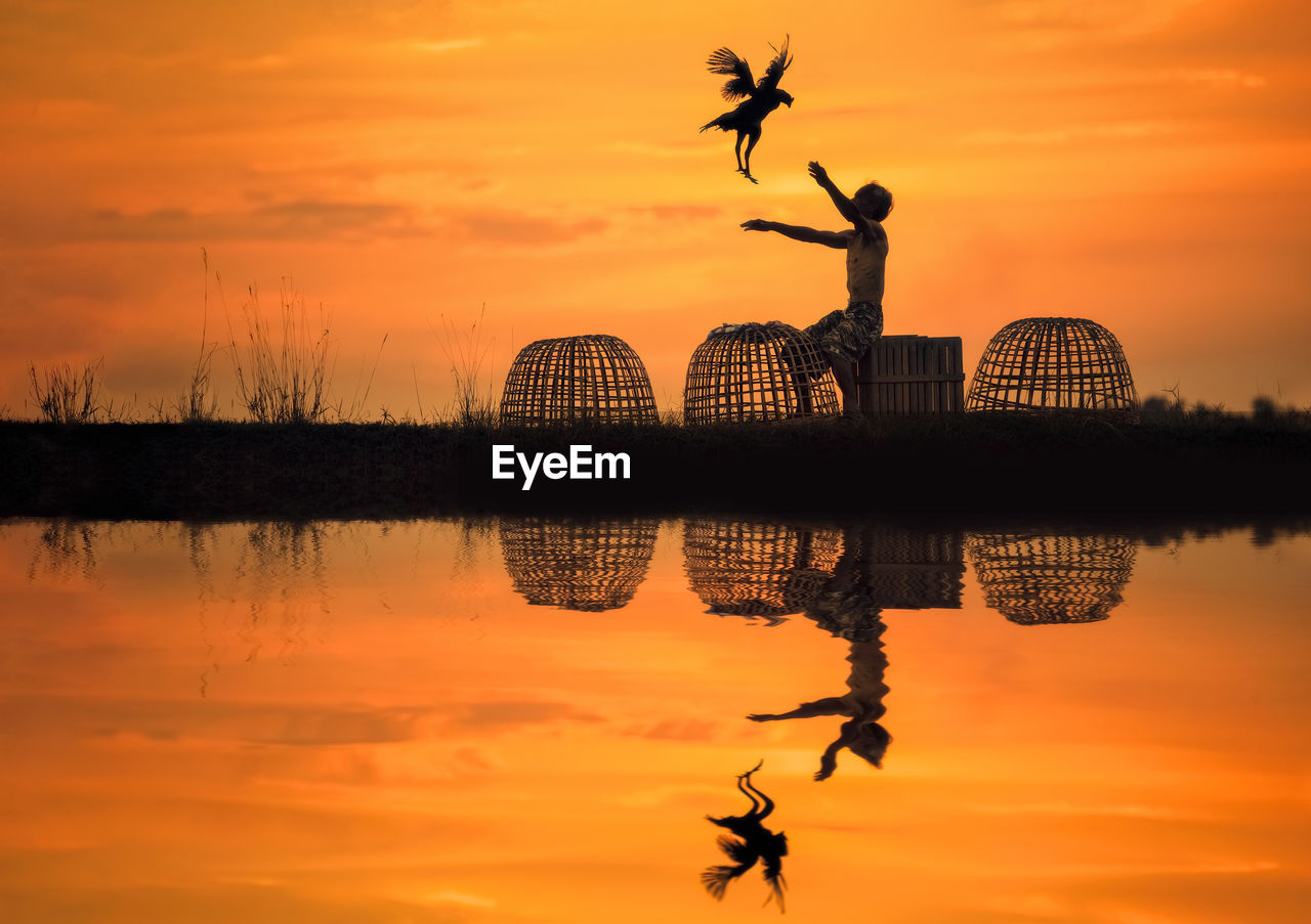 Silhouette man playing with bird at lake against sky during sunset