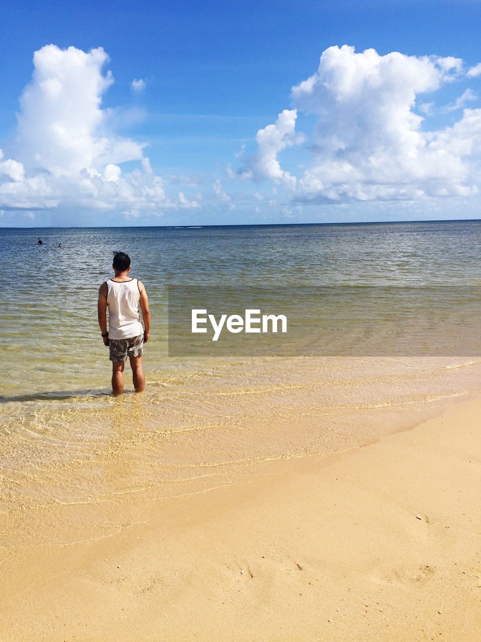 Rear view of man standing at beach