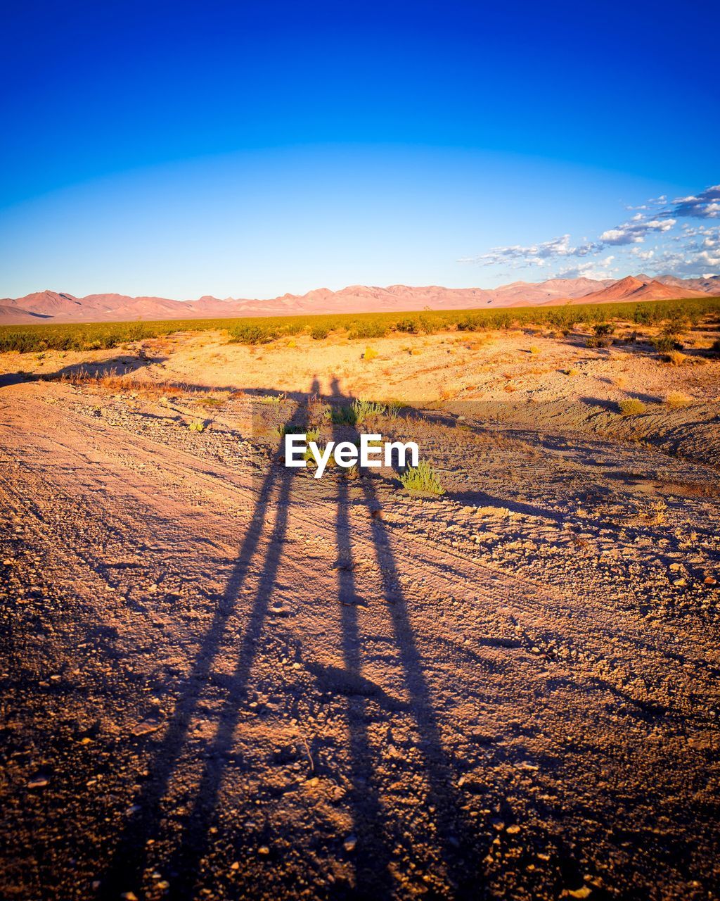 SHADOW OF PEOPLE ON FIELD