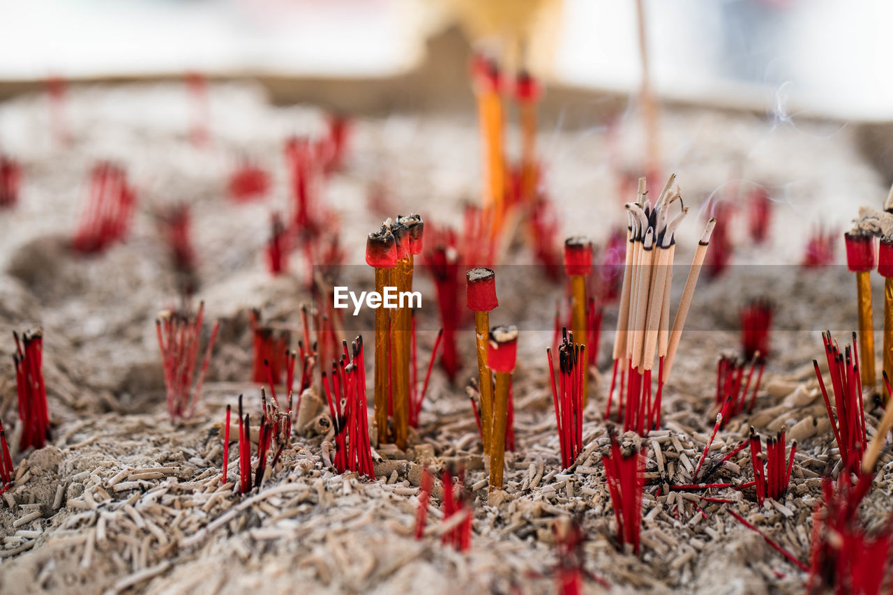 Close-up of burning incense 