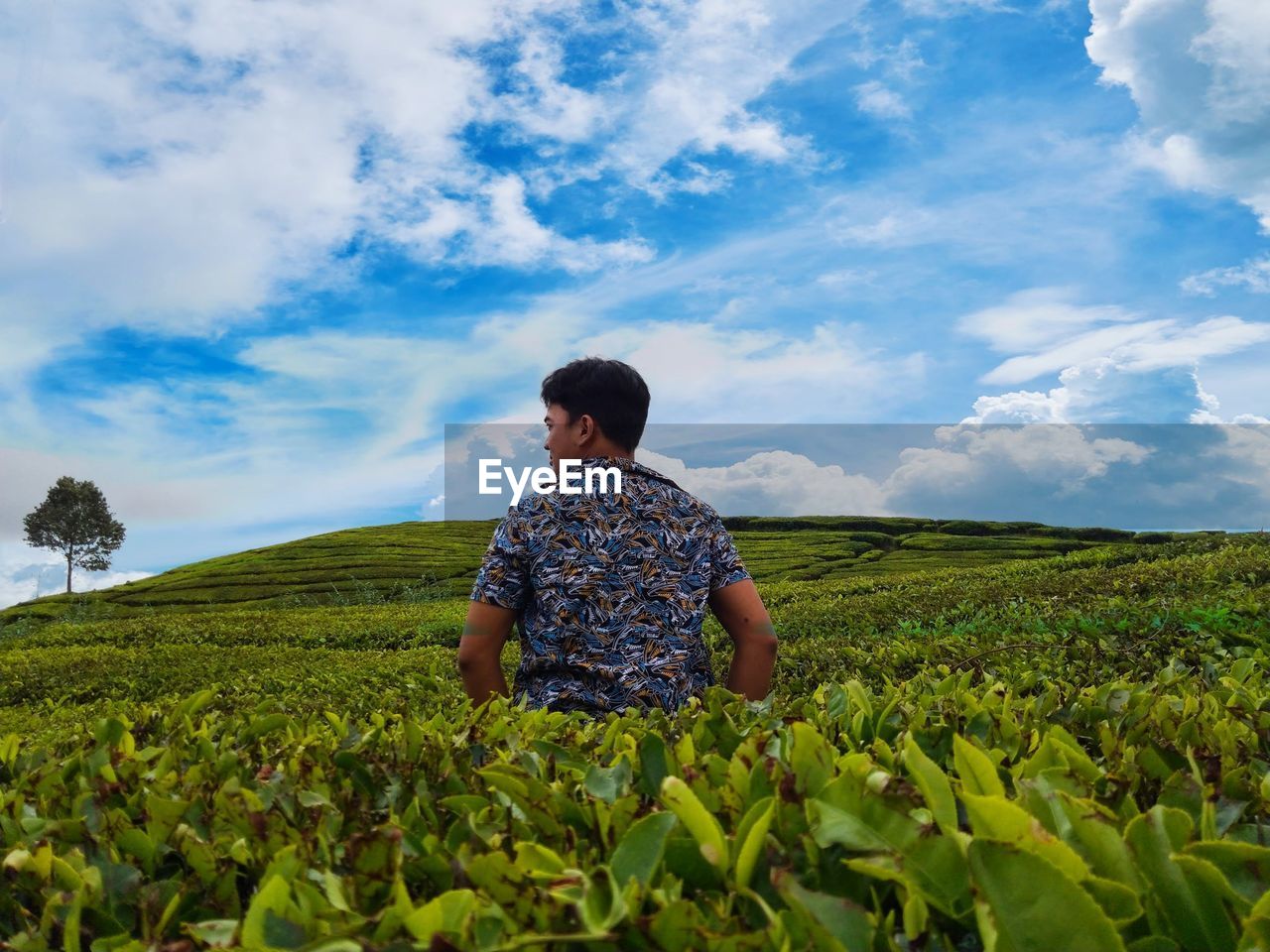 Rear view of man on field against sky