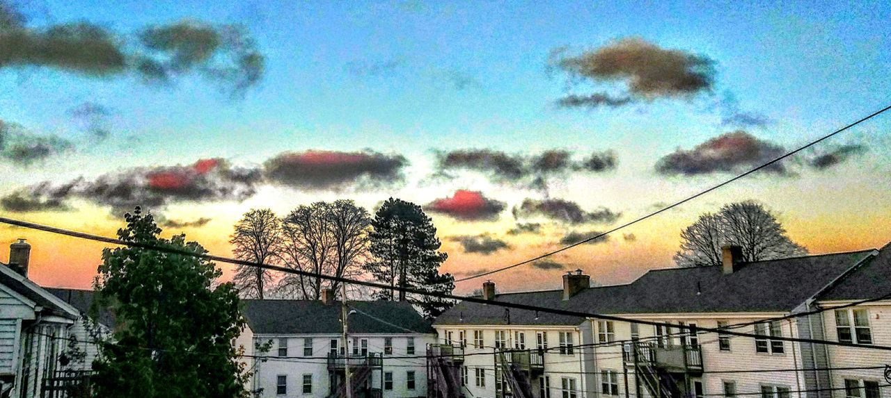 LOW ANGLE VIEW OF TREES AND BUILDINGS IN CITY