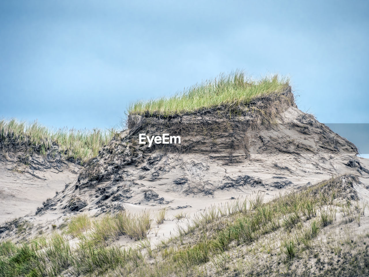 Moving dune wydma czolpinska, slowinski national park, baltic sea, poland