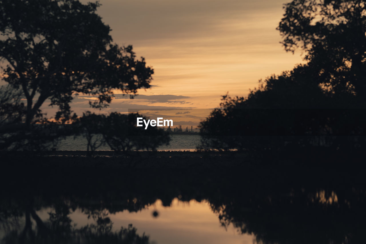 Silhouette trees by lake against sky during sunset