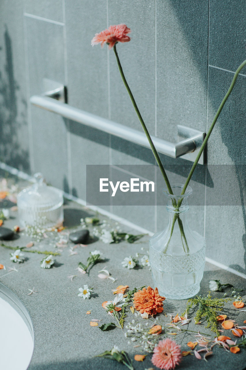 Close-up of flower vase against wall