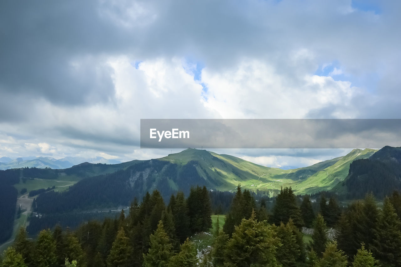 Panoramic view of trees and mountains against sky in flaine, france 