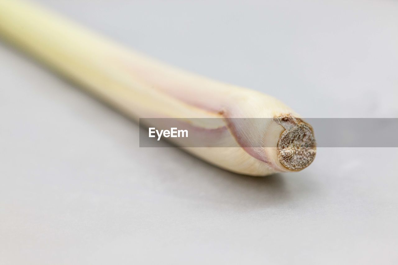 Close-up of spring onion against white background