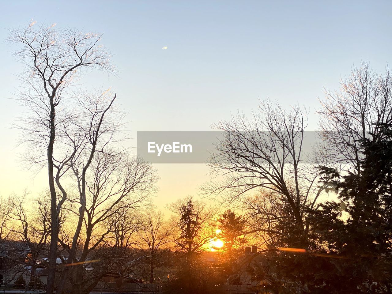 BARE TREES AGAINST SKY DURING SUNSET