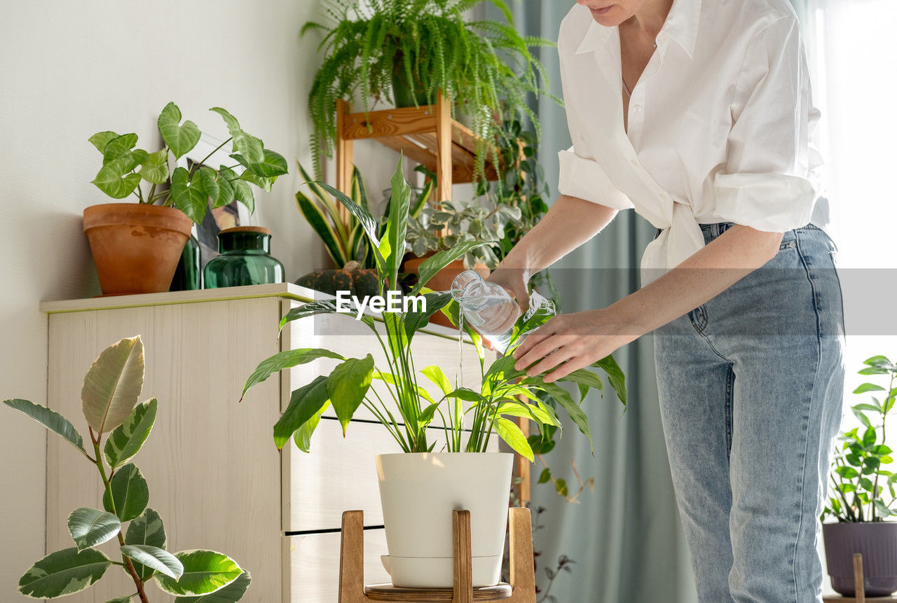 midsection of woman with potted plant