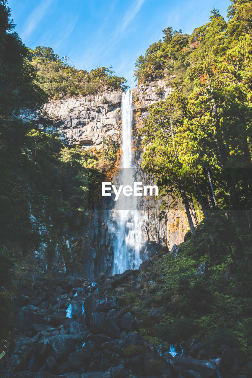 low angle view of waterfall in forest