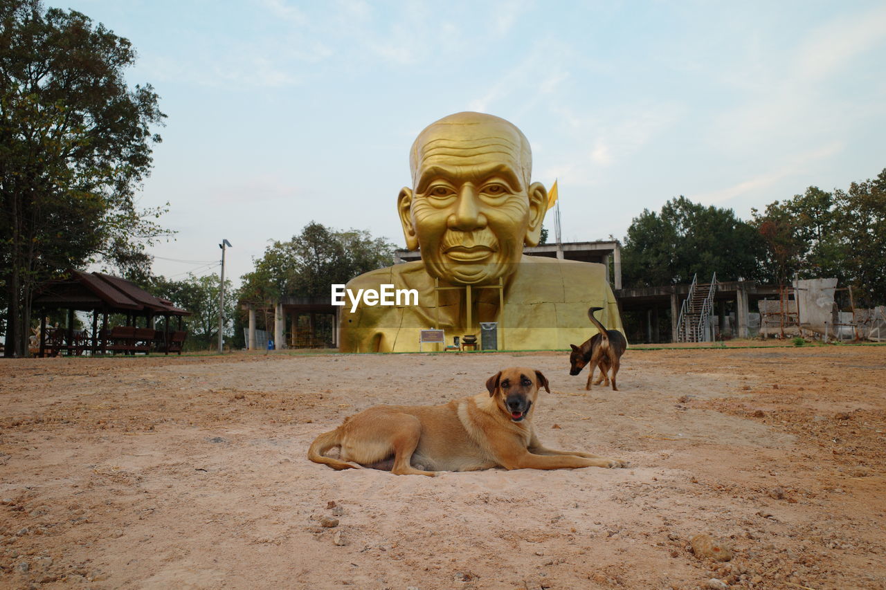 mammal, animal themes, animal, sculpture, sand, statue, one animal, temple, architecture, religion, sky, domestic animals, pet, representation, nature, tree, plant, belief, temple - building, human representation, spirituality, dog, canine, built structure, no people, vacation, travel destinations, ancient history, travel, outdoors, day, craft, male likeness, building