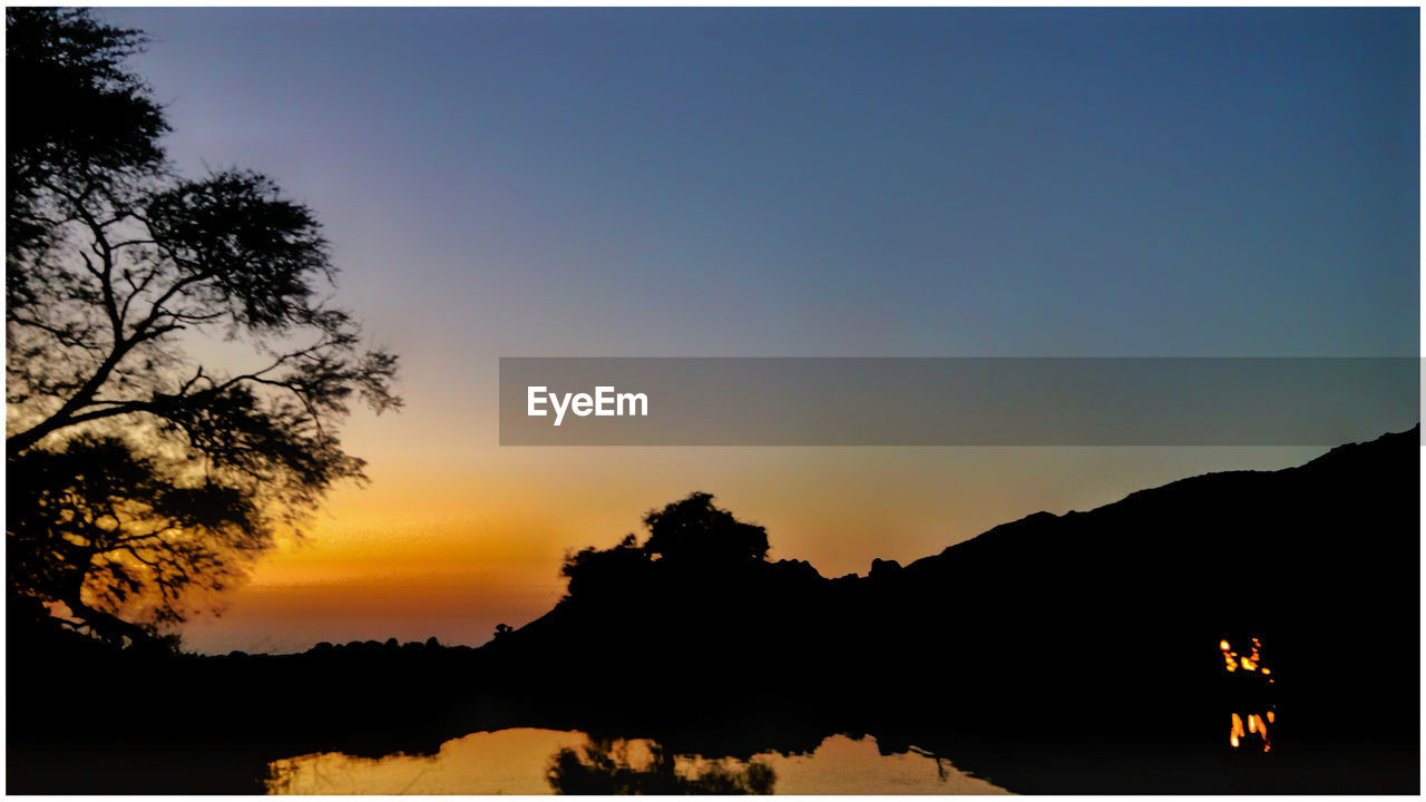 SILHOUETTE OF TREES AT SUNSET