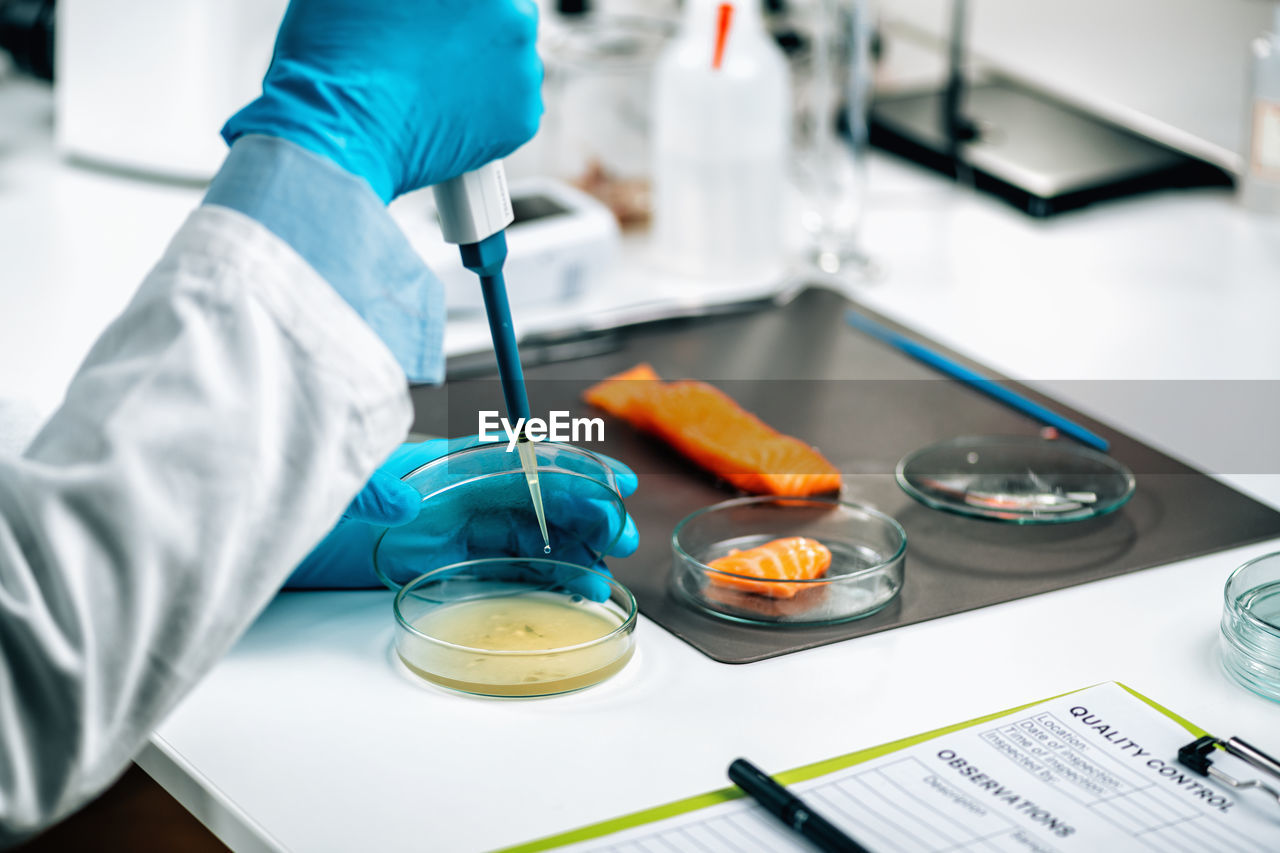 Food quality management - microbiologist testing salmon fish sample