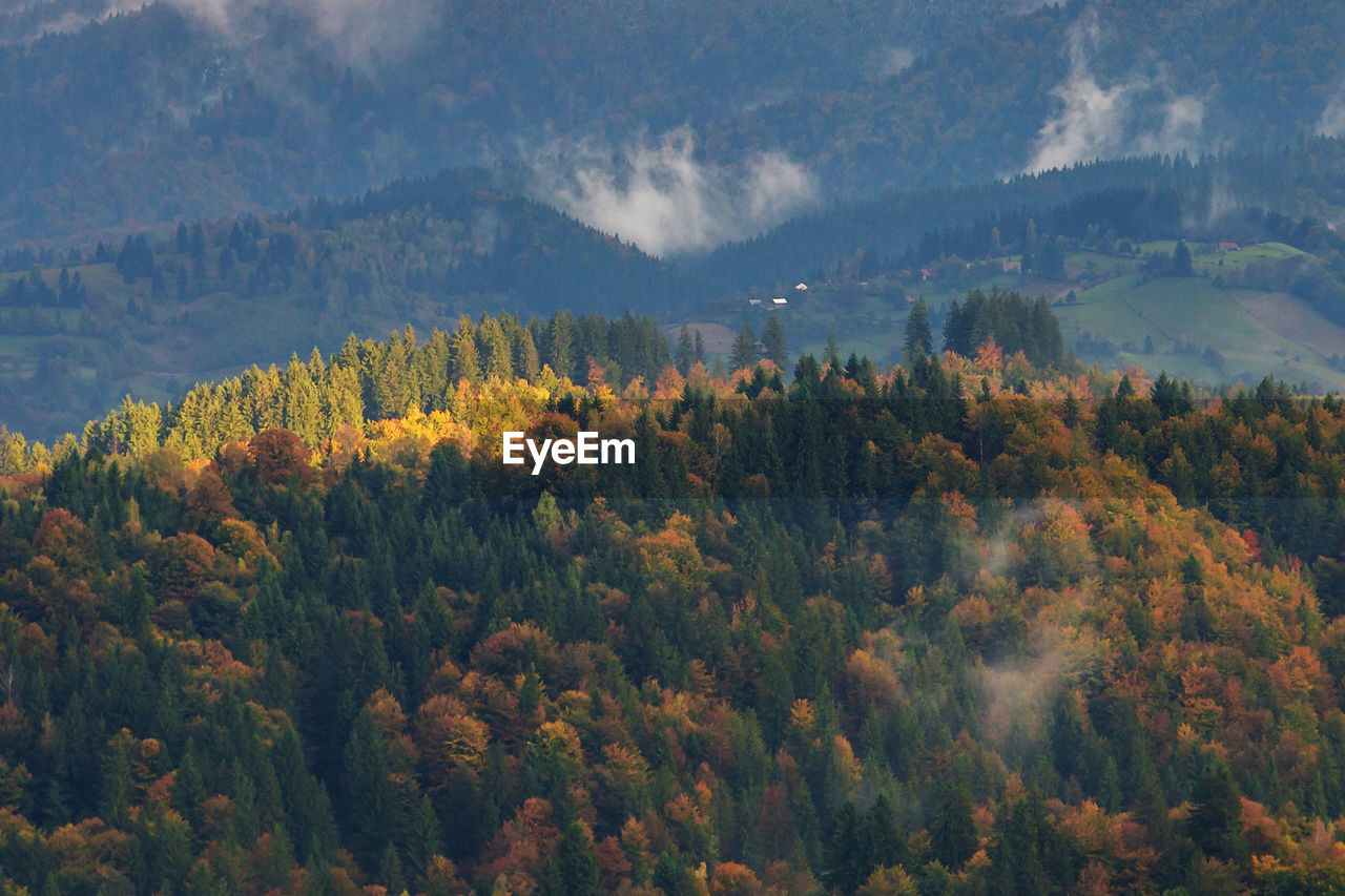 Scenic view of trees and mountains against sky