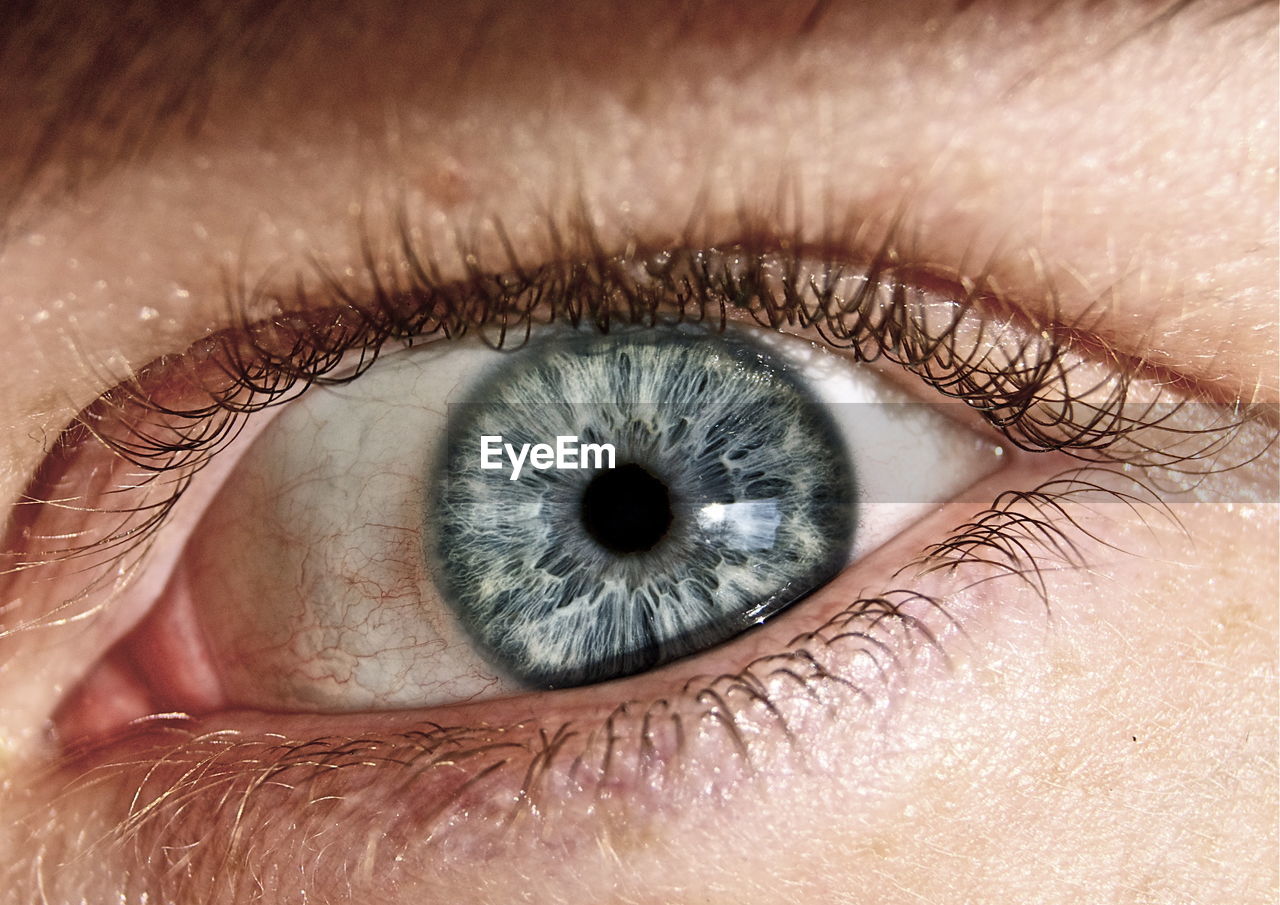 Cropped image of eye