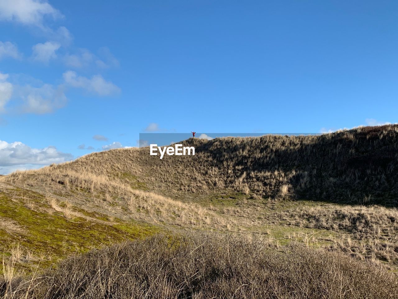 Scenic view of field against blue sky