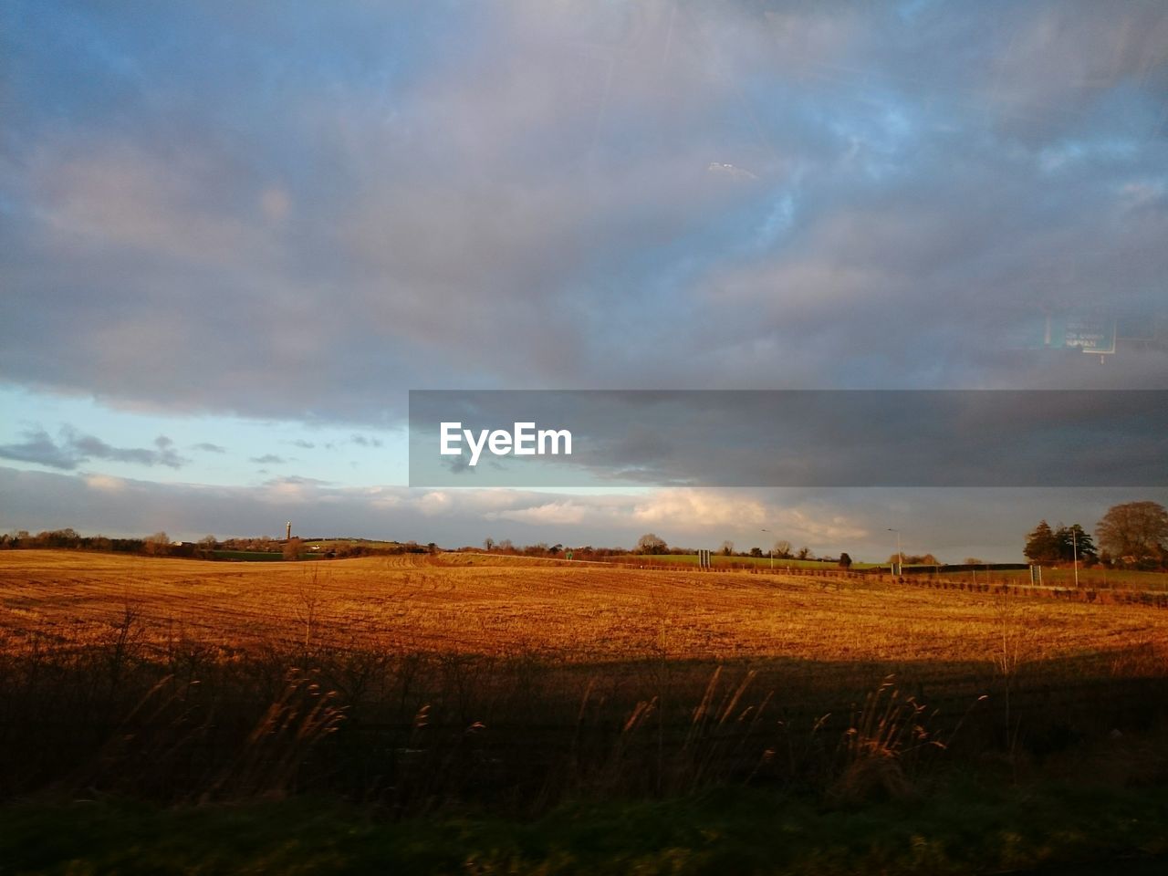 Cloudy sky above yellow field