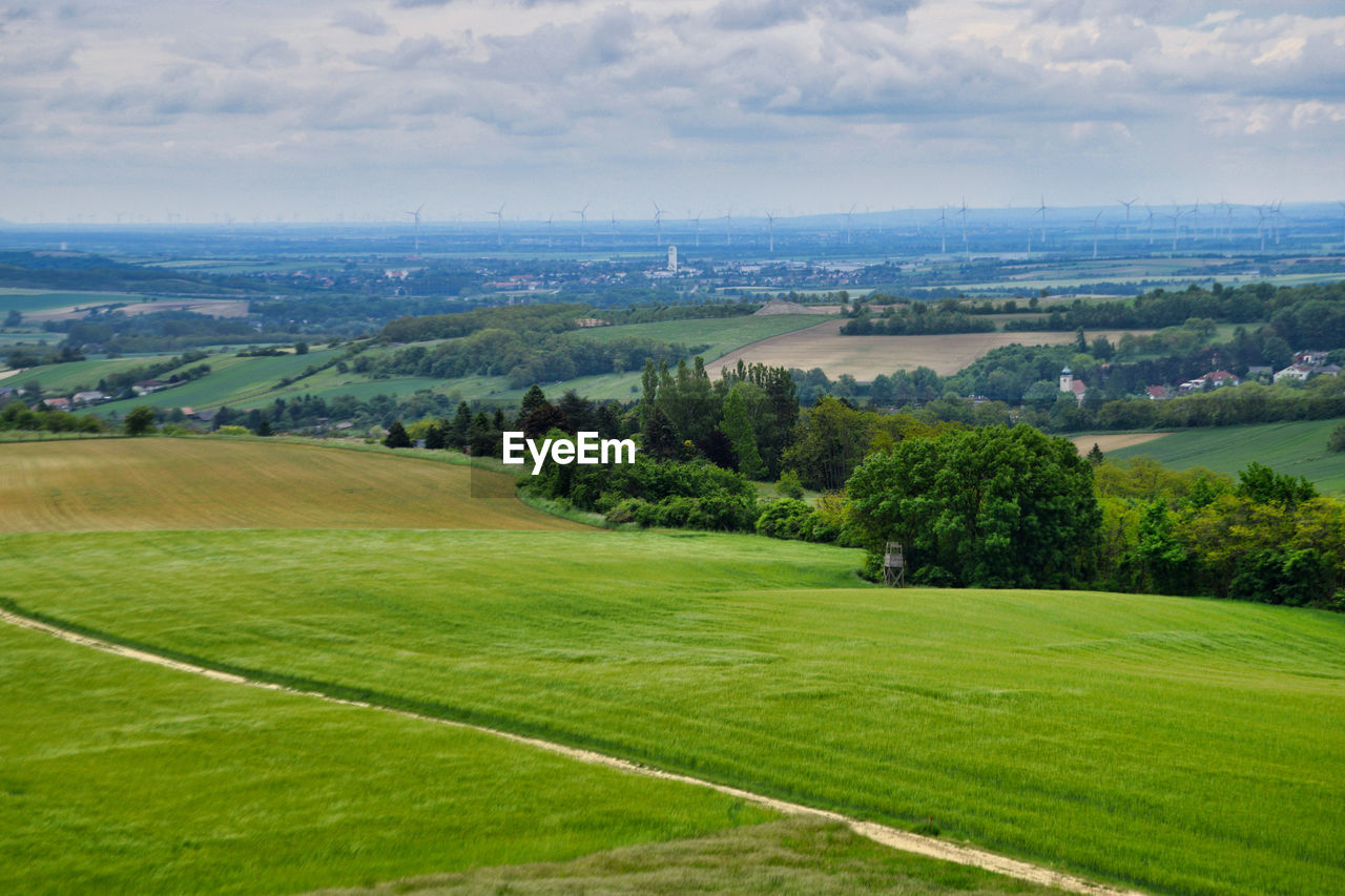 SCENIC VIEW OF GRASSY LANDSCAPE AGAINST SKY