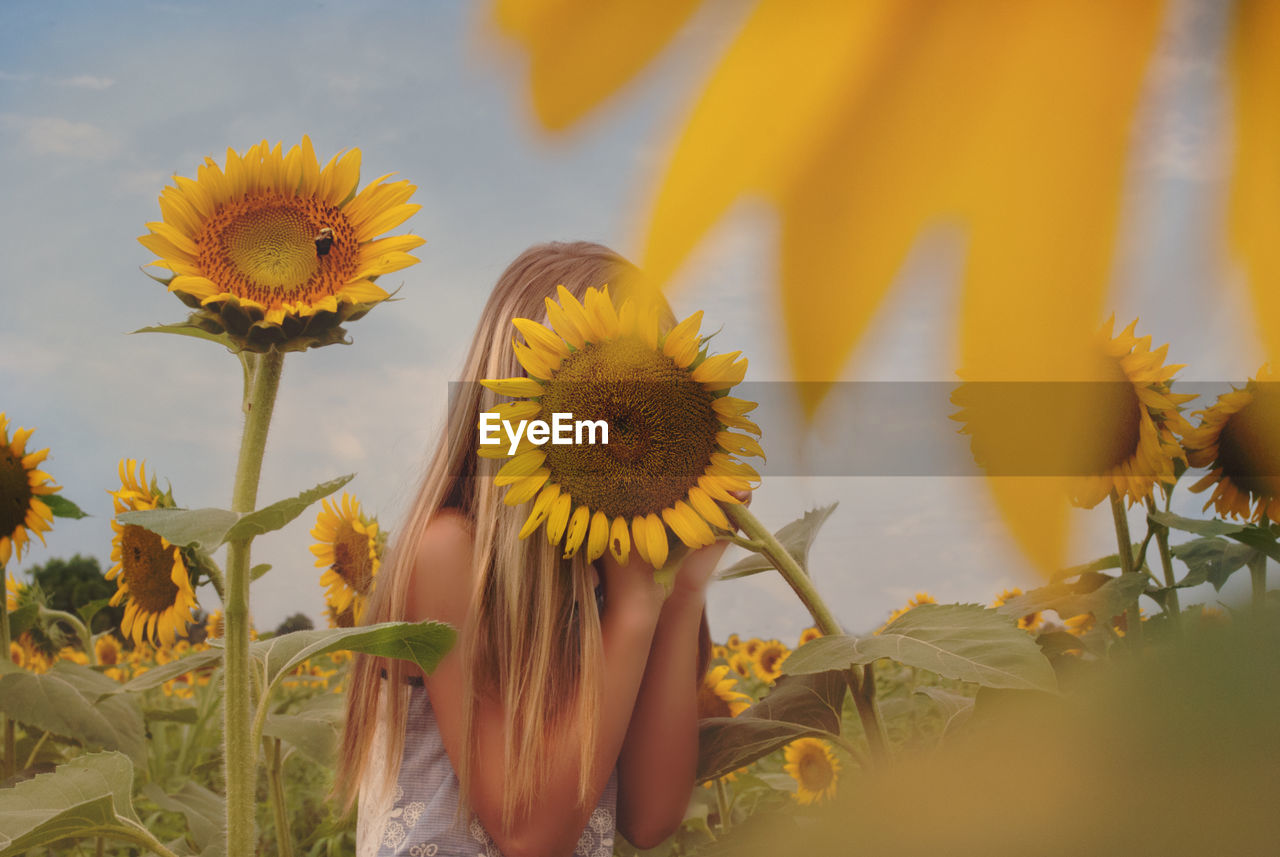 Woman hiding behind sunflower at farm