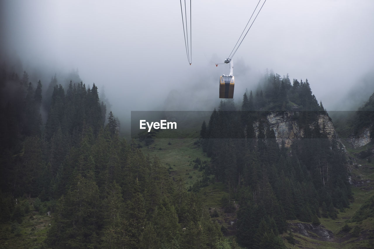 Overhead cable car in forest against sky