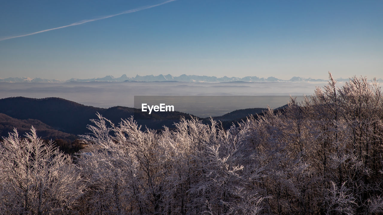 Scenic view of snow covered land against sky