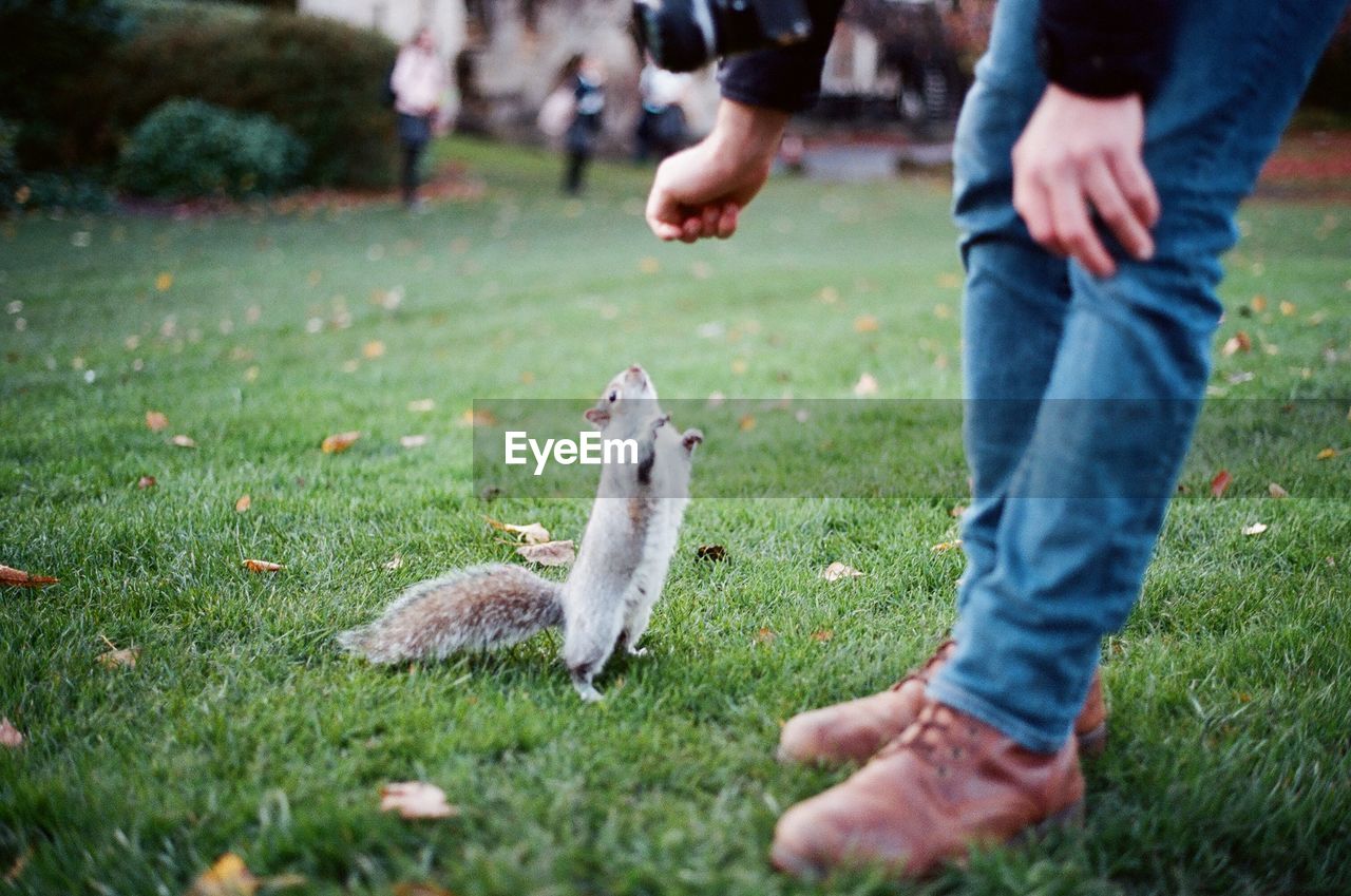 A man feeding a squirrel