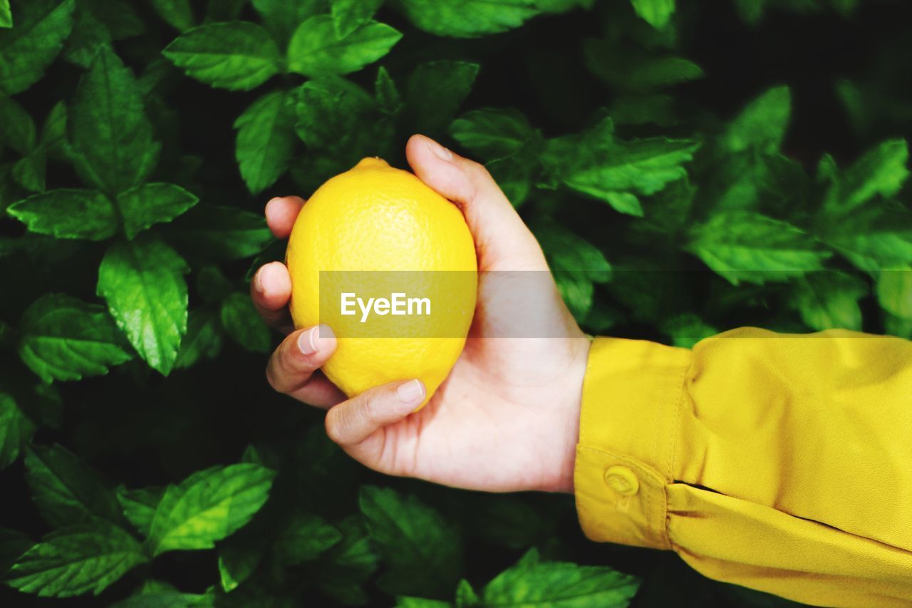 Cropped image of hand holding yellow fruit