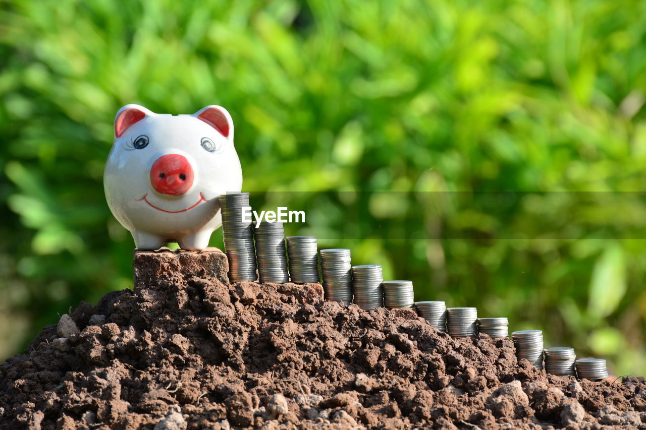 Close-up of piggy bank and coins