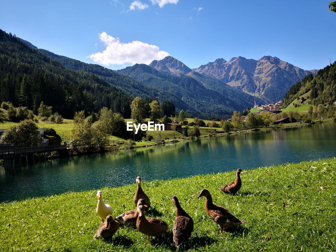 SCENIC VIEW OF LAKE AGAINST MOUNTAINS