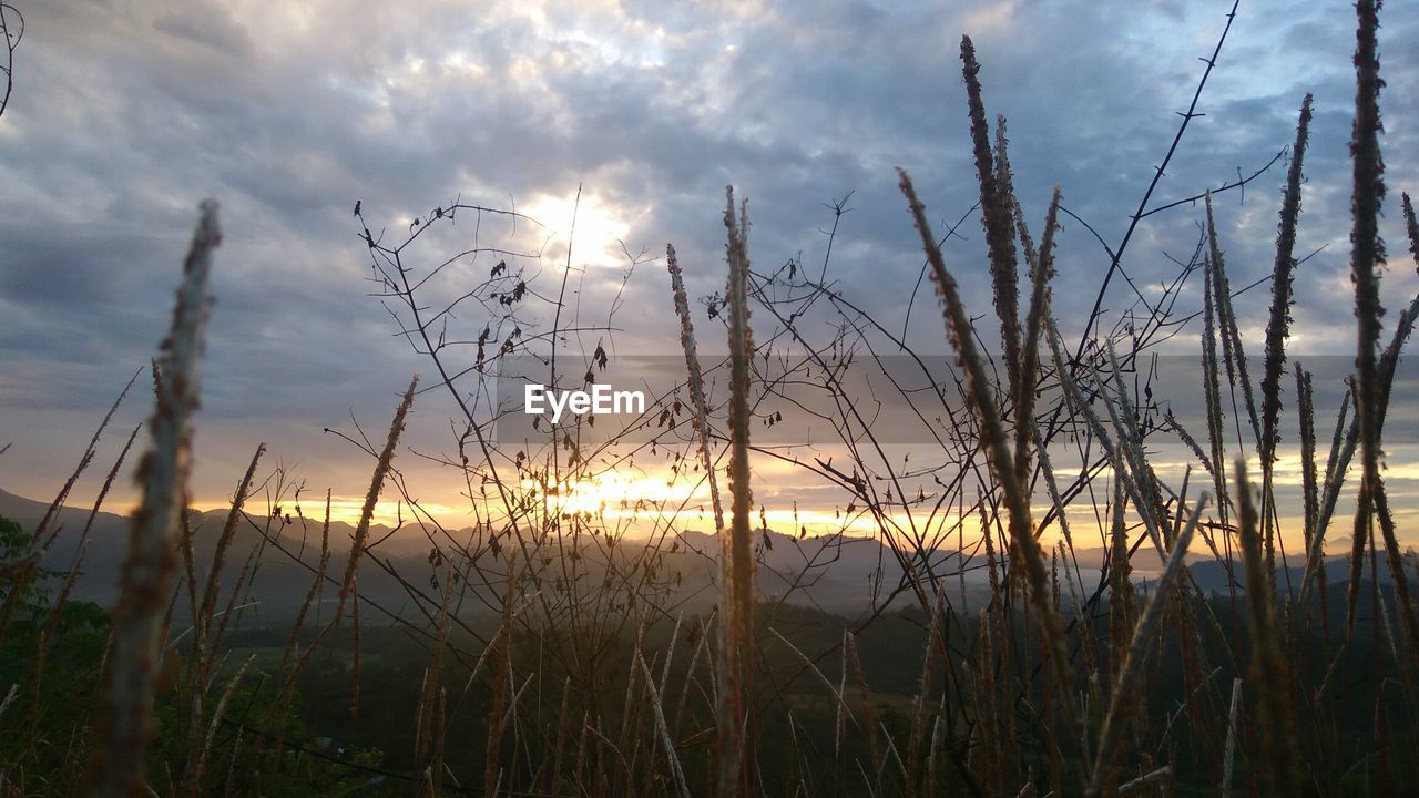 SCENIC VIEW OF SUNSET OVER SILHOUETTE LAND