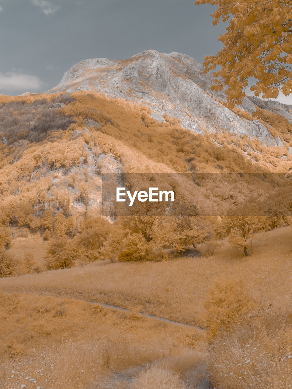 Scenic infrared view of landscape against sky