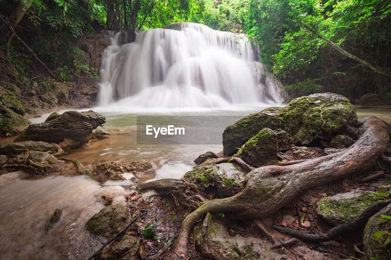 SCENIC VIEW OF WATERFALL AGAINST TREES