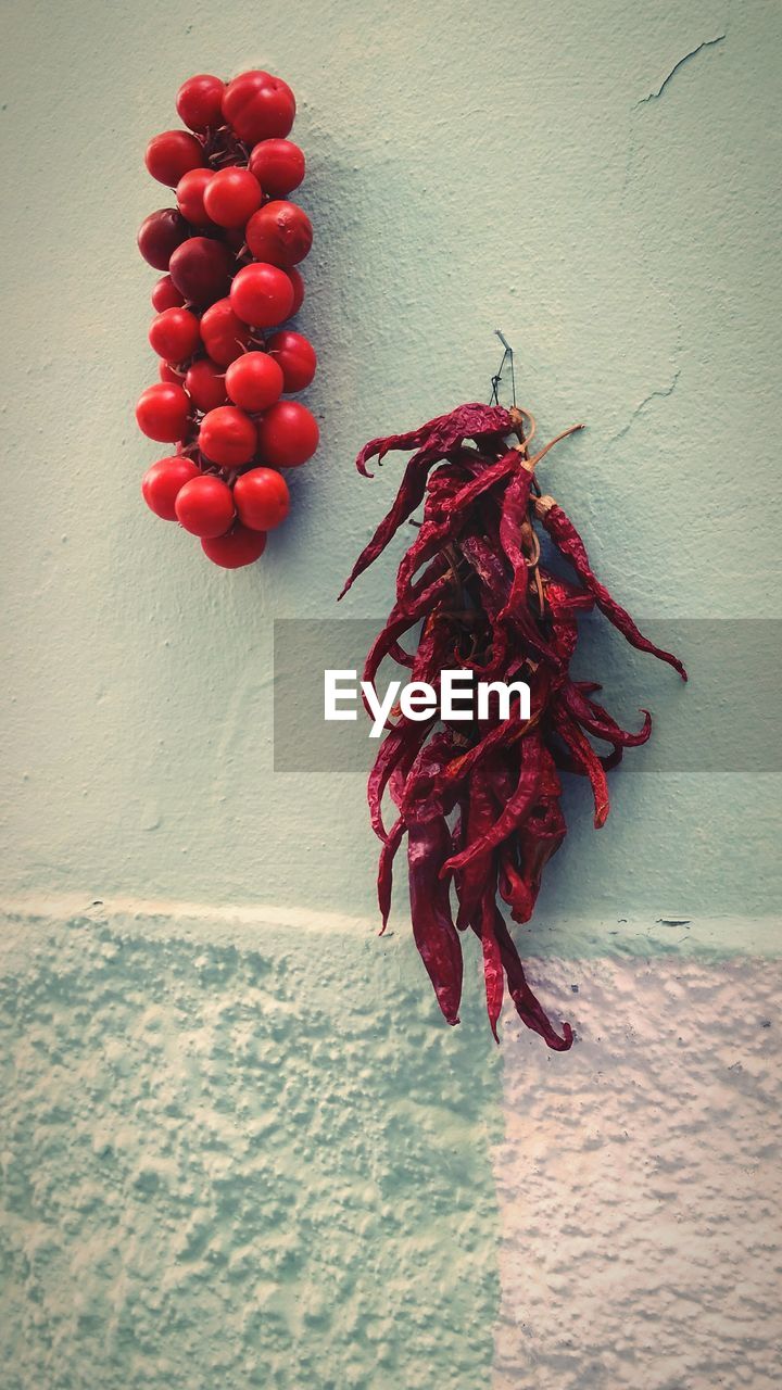 Dried red chili peppers hanging on wall