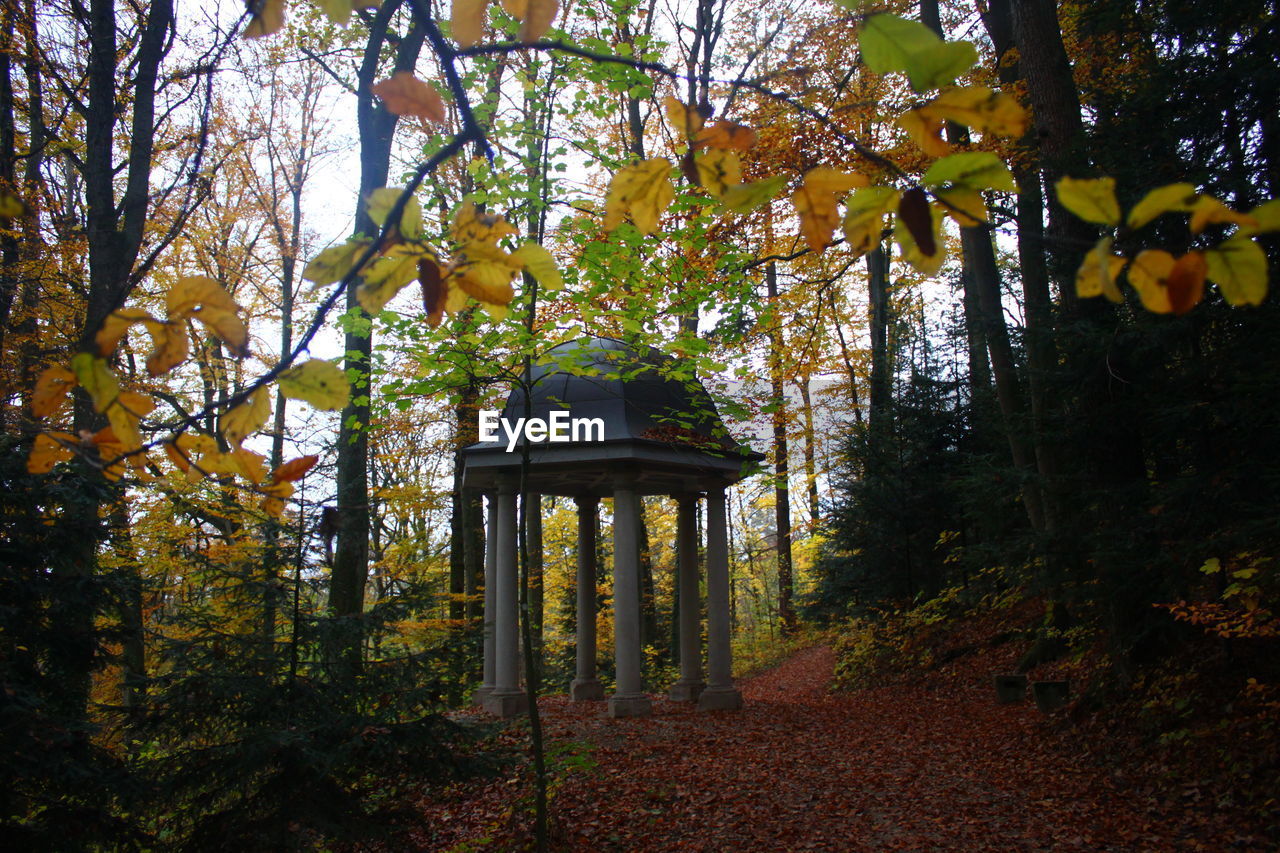 Built structure in forest during autumn