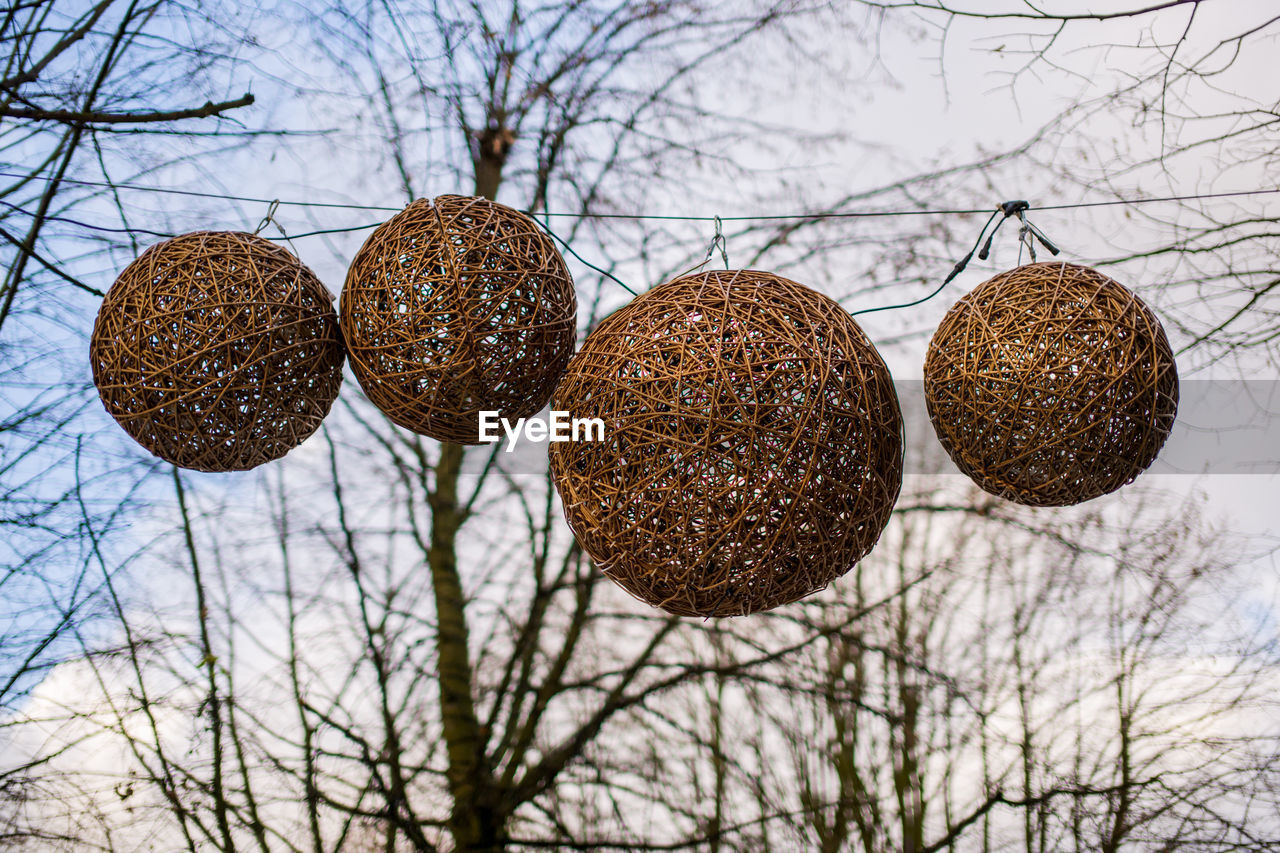 CLOSE-UP OF BARE TREES AGAINST THE SKY