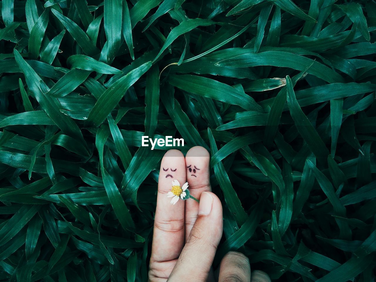 Cropped hands of person with anthropomorphic face on finger against plant