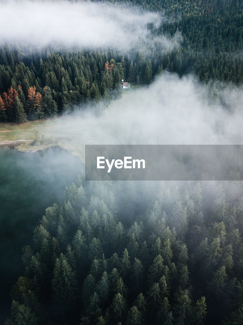 Aerial view of smoke in forest