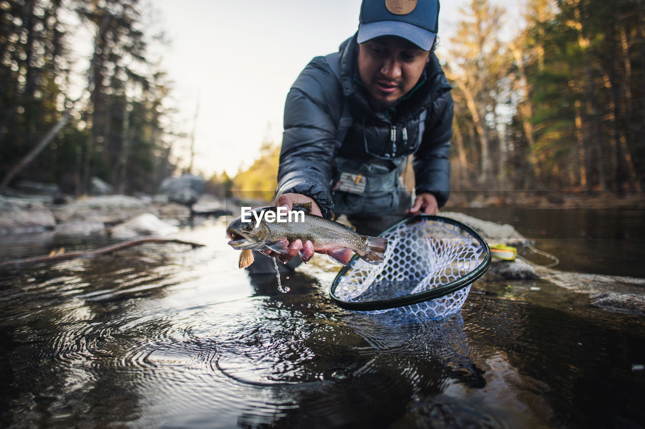 A man catches a trout during a fall morning on a maine river