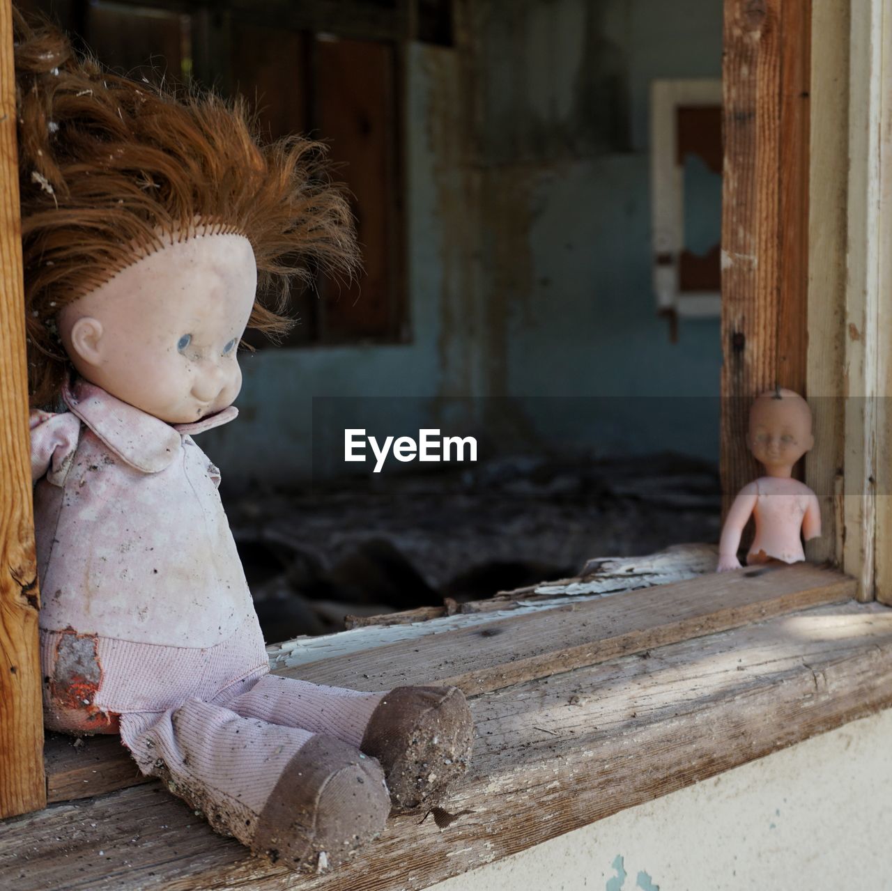 Doll on windowsill in abandoned building